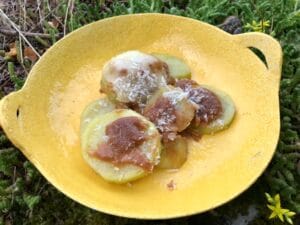 gratin-patates-miso-genkicooking