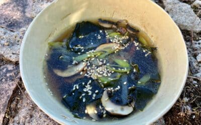 Soupe de Wakamé à l’huile de sésame