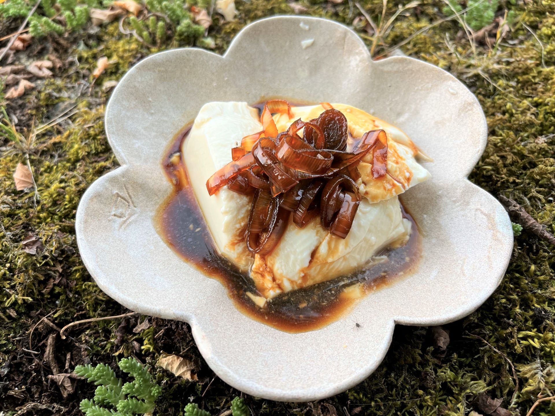 Tofu soyeux à la sauce poireaux sucré-salé